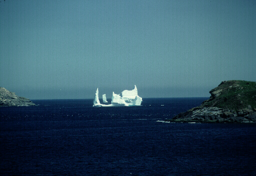 Witless Bay Iceberg