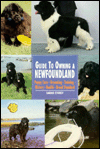 Newfoundlands