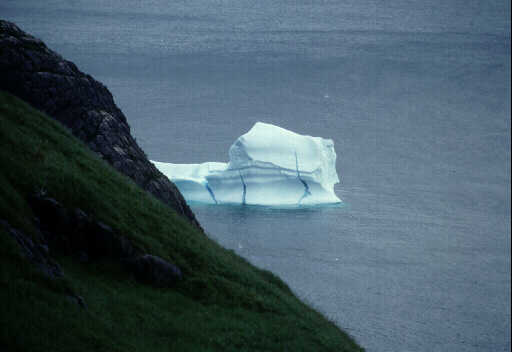 Iceberg Visits Signal Hill